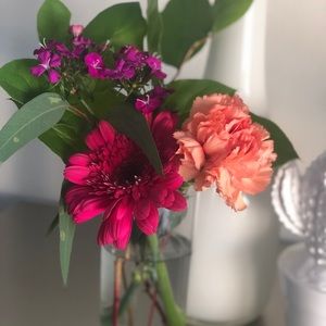 Meet your Posher, Dina